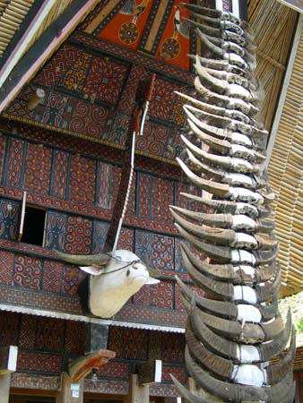 Traditional house in Tana Toraja