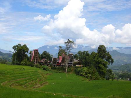 Traditional village in Torajaland