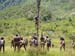 Tribe fighting in Wamena Valley